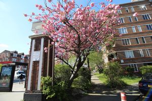 Communal Gardens 2- click for photo gallery